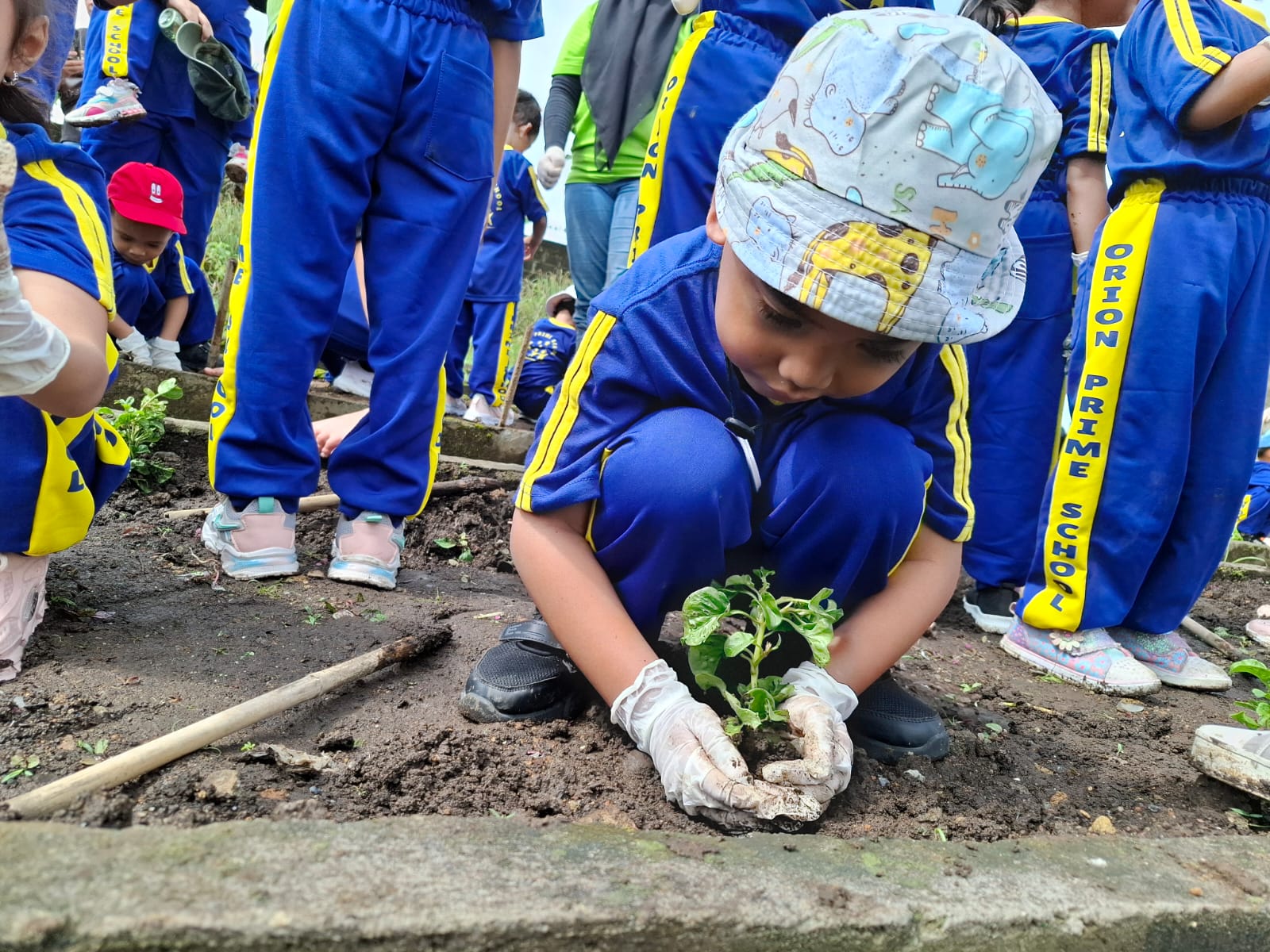 Anak menanam bibit tanaman